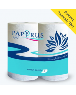 Papyrus paper towel 