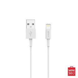 Miniso lighting cable