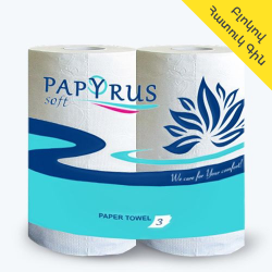 Papyrus paper towel 