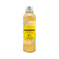 Arbucha Kombucha ginger lemon and wild mint 330ml
