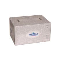 Soft Papyrus 2ply tissues 160 sheets

